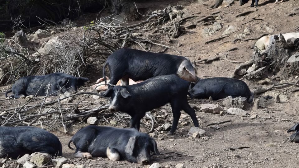 Élise, Camille and Jacques