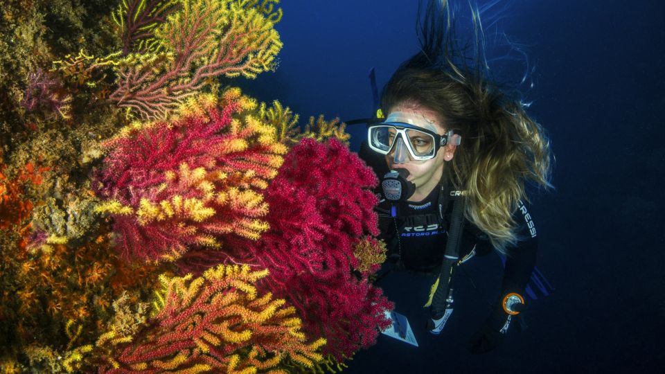 Immersioni subacquee