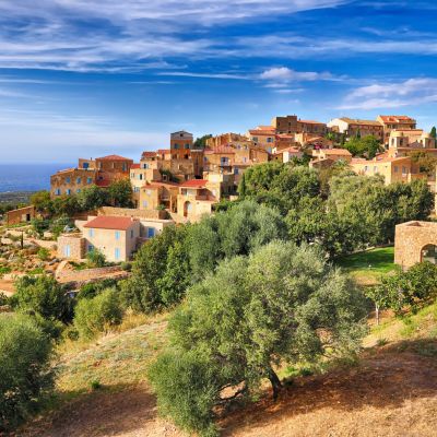 Pigna