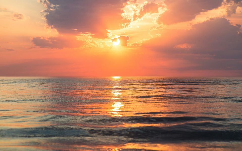 Special Indian summer offer