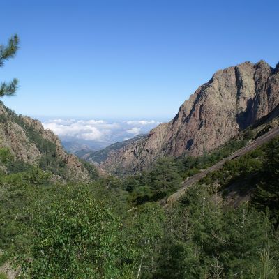 La Foresta di Bonifato: un luogo da non perdere