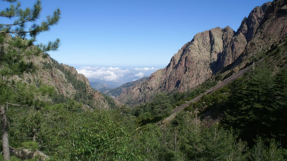 La Foresta di Bonifato: un luogo da non perdere